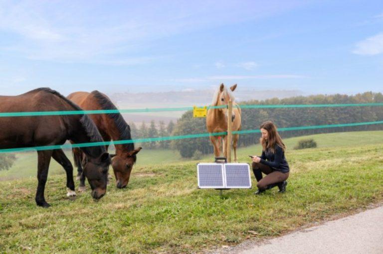  Montarea gardului electric cu panou solar. Pasi, accesorii necesare si sfaturi utile